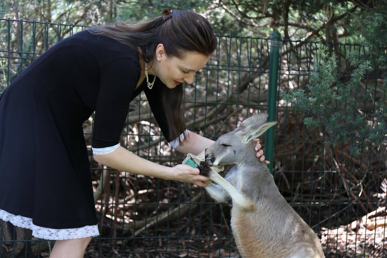 Аделаида, Австралия