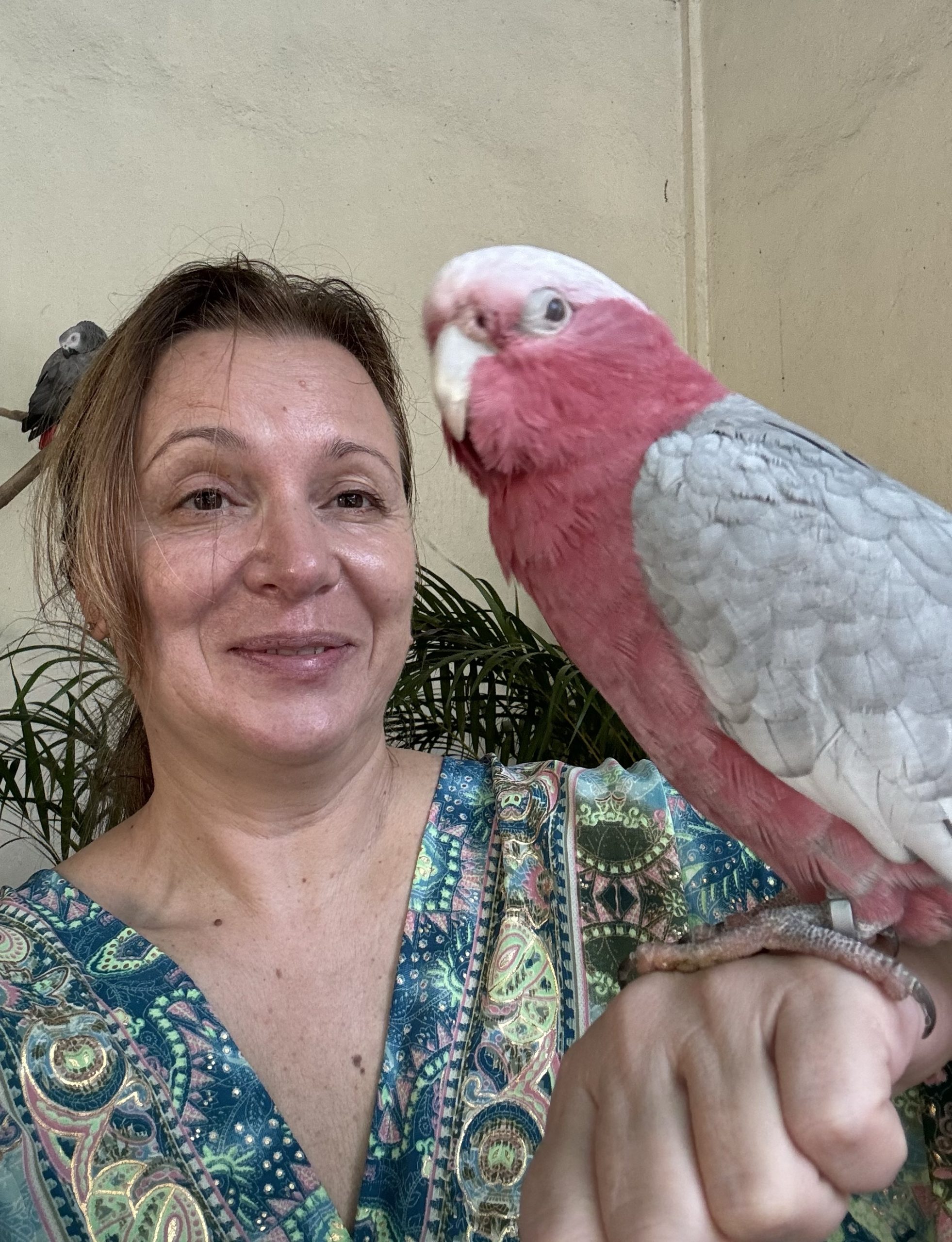 Куала Лумпур